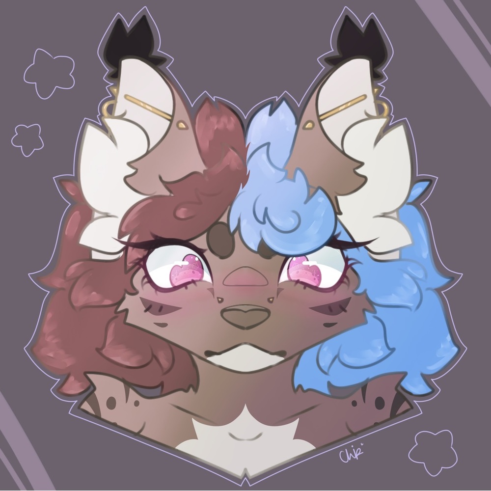 Meet your Posher, Bella